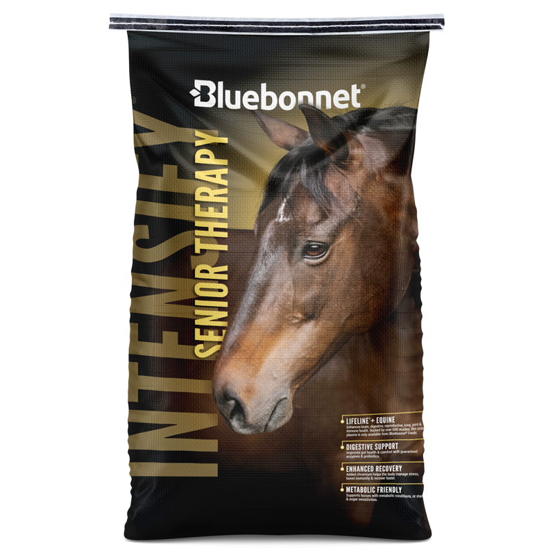 Bluebonnet Intensify Senior Therapy