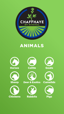 Chaffhaye Premium Cultured Alfalfa - 20lb