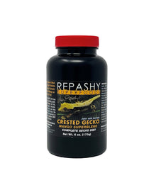 Crested Gecko - Mango Superblend