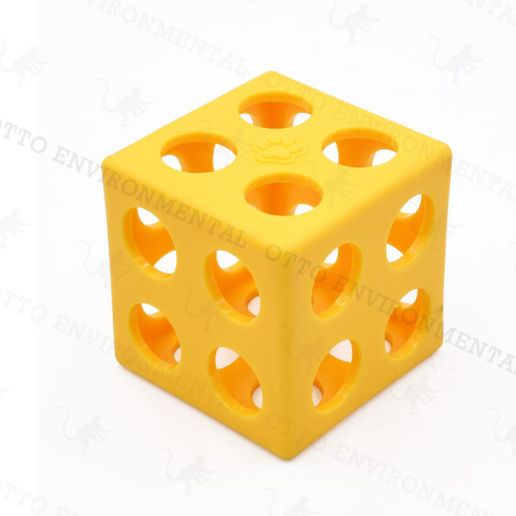 Cube Foraging Feeder