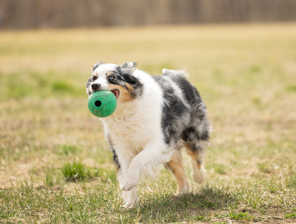 KoreFlex Dog Ball