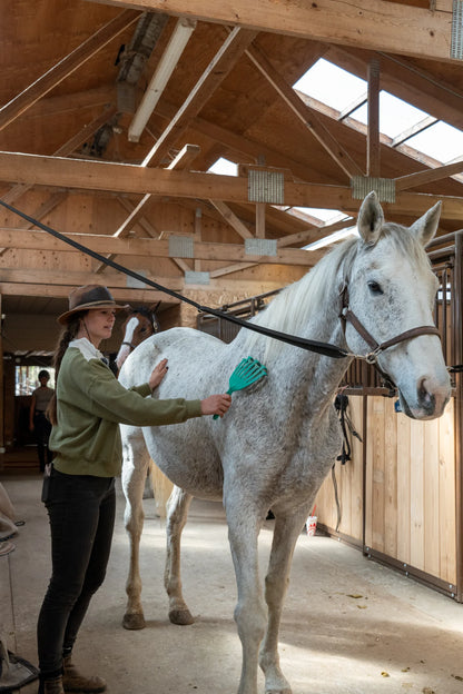 GroomRake Horse Deshedding Tool