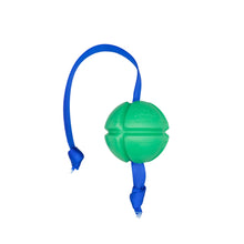 FloTek Dog Tug Toy