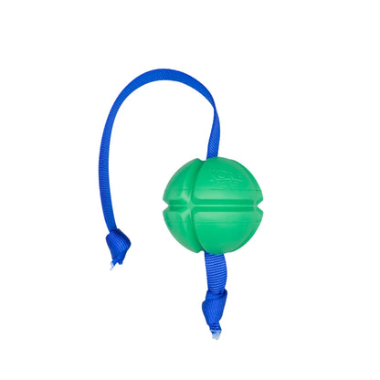 FloTek Dog Tug Toy