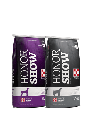 Purina Honor Show Lamb & Goat Creep 15 DX 55SX - 50lb