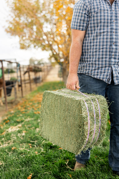 Alfalfa Compressed Bale - 50lbs
