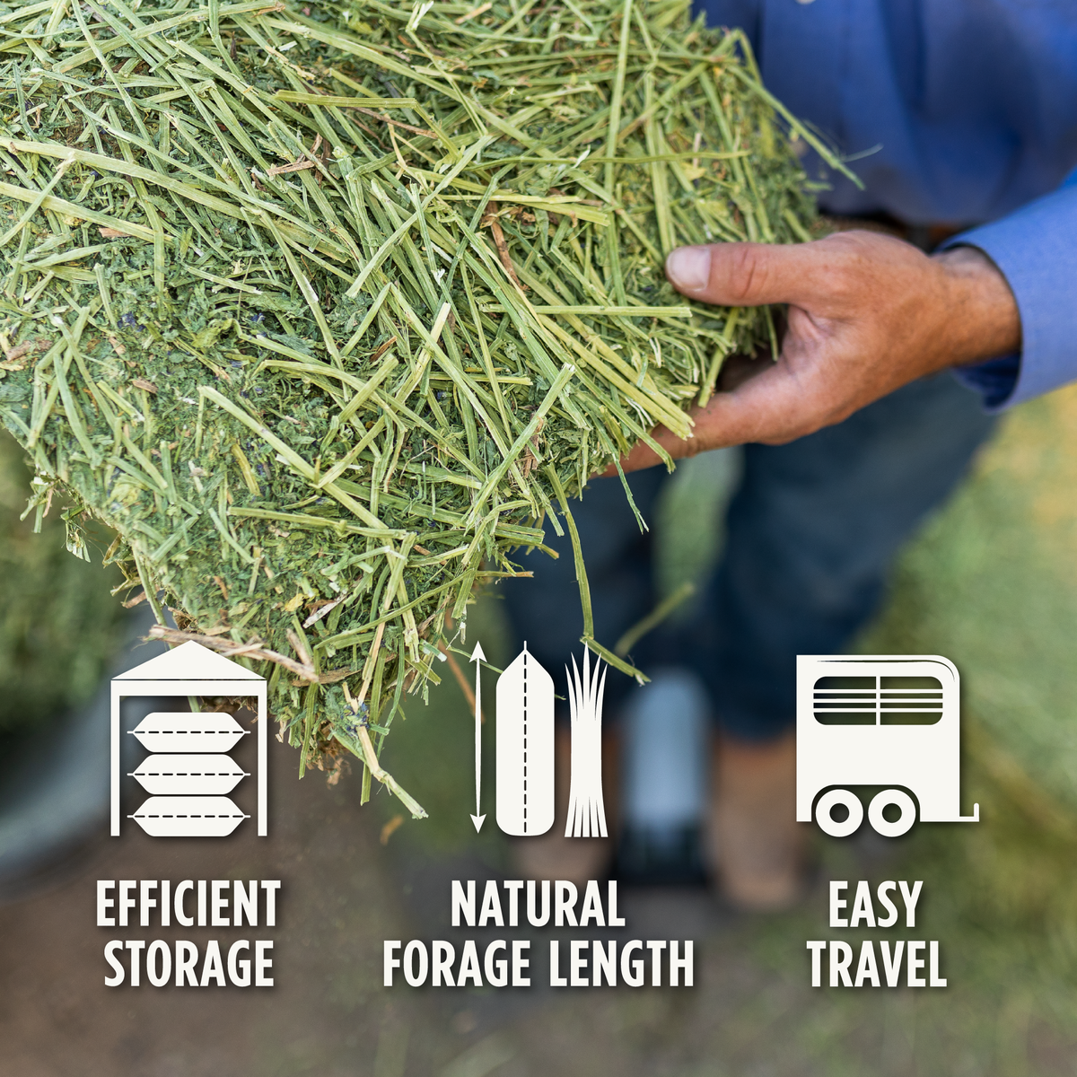 Alfalfa Compressed Bale - 50lbs