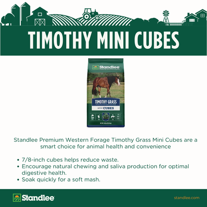 Timothy Grass Mini Cubes