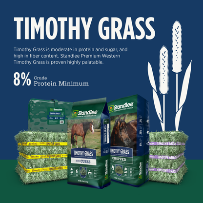 Timothy Grass Mini Cubes