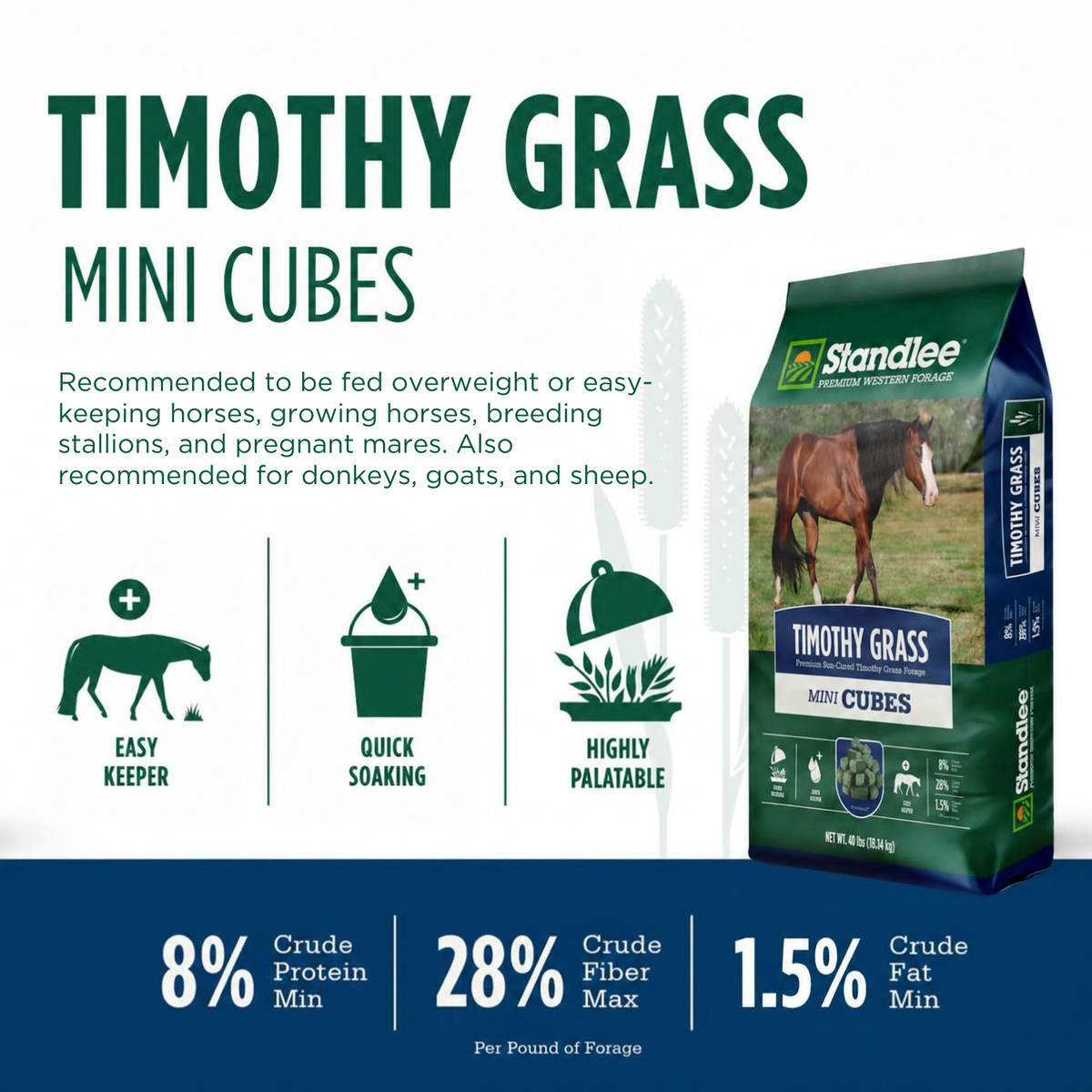 Timothy Grass Mini Cubes