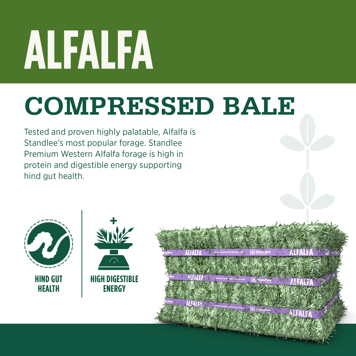 Alfalfa Compressed Bale - 50lbs