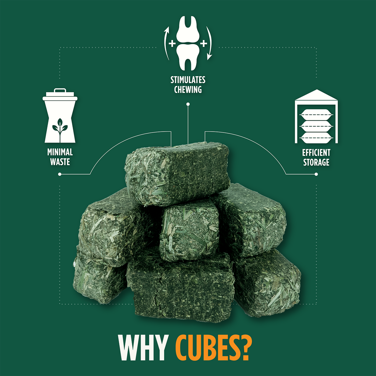 Timothy Grass Mini Cubes