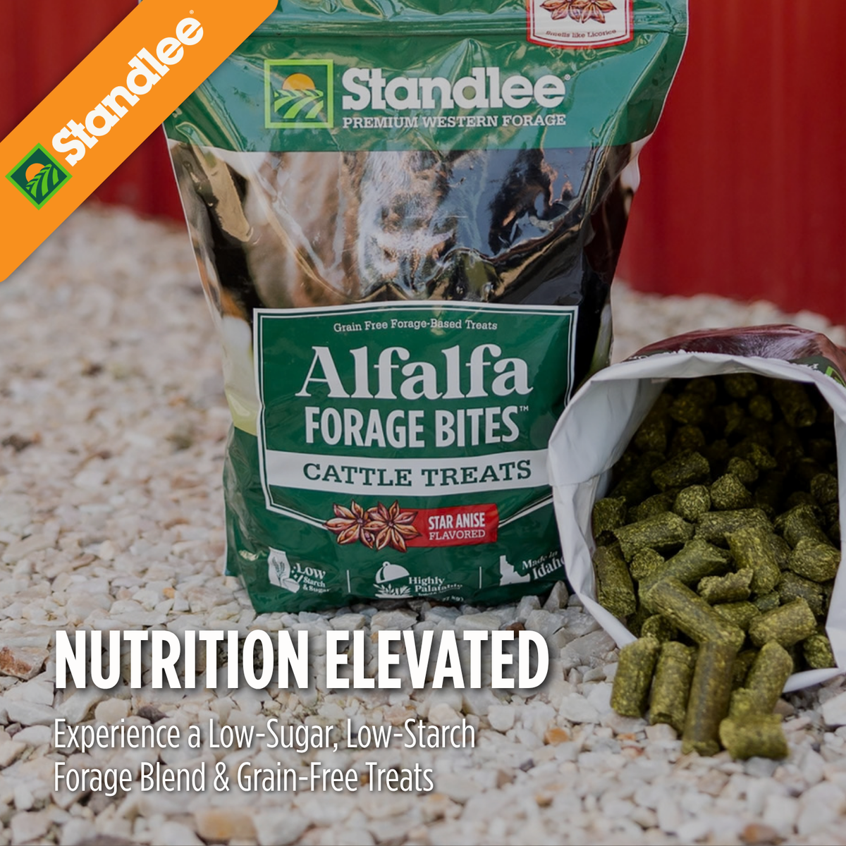 Alfalfa Forage Bites for Cattle - Star Anise Flavored
