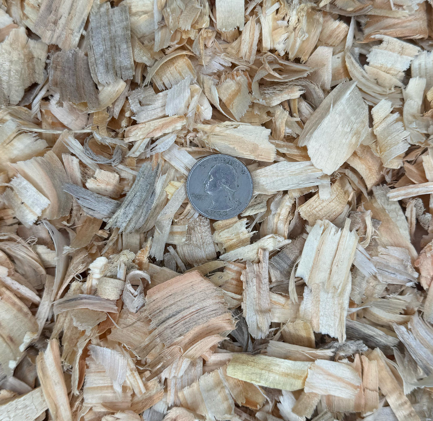 America's Choice - Large Flake