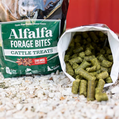 Alfalfa Forage Bites for Cattle - Star Anise Flavored