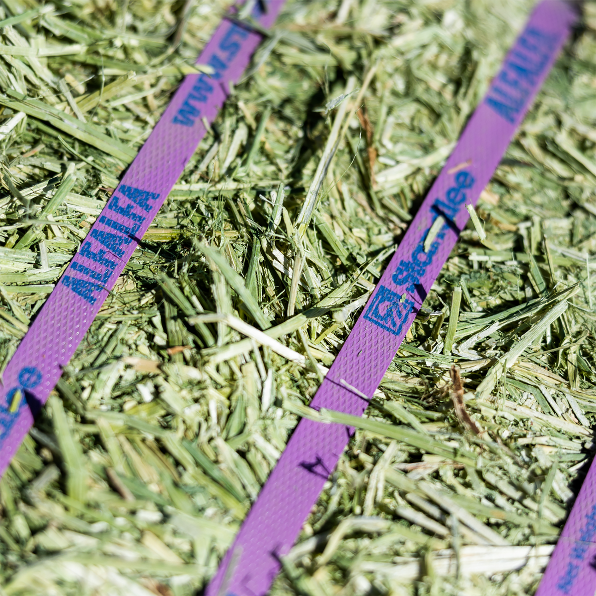 Alfalfa Compressed Bale - 50lbs