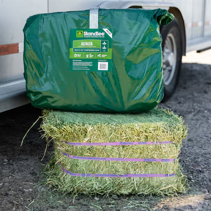 Alfalfa Grab & Go Bale - 50lbs