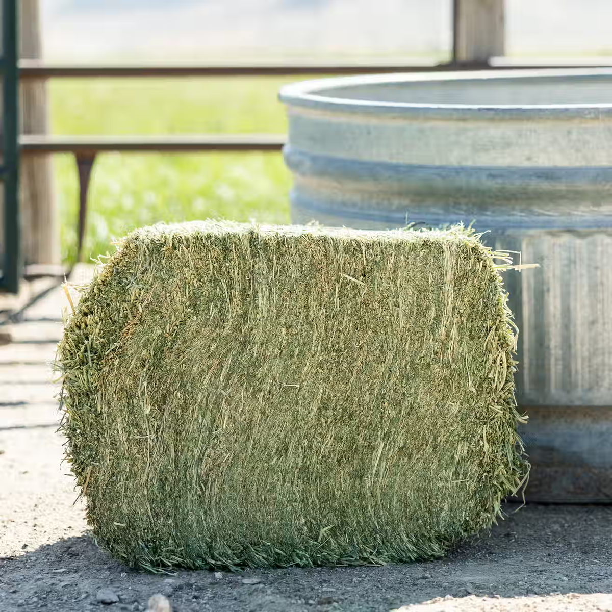 Organic Alfalfa Grab & Go Bale - 50lbs