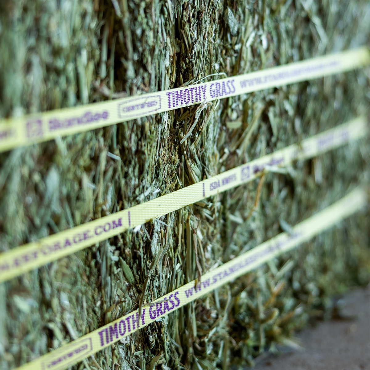Certified Timothy Compressed Bale - 50lbs