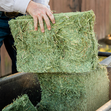 Certified Timothy Compressed Bale - 50lbs