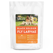 Brooks Brand BSFL for Chickens - 5lb