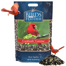 Birds Of A Feather - Cardinals' Cuisine