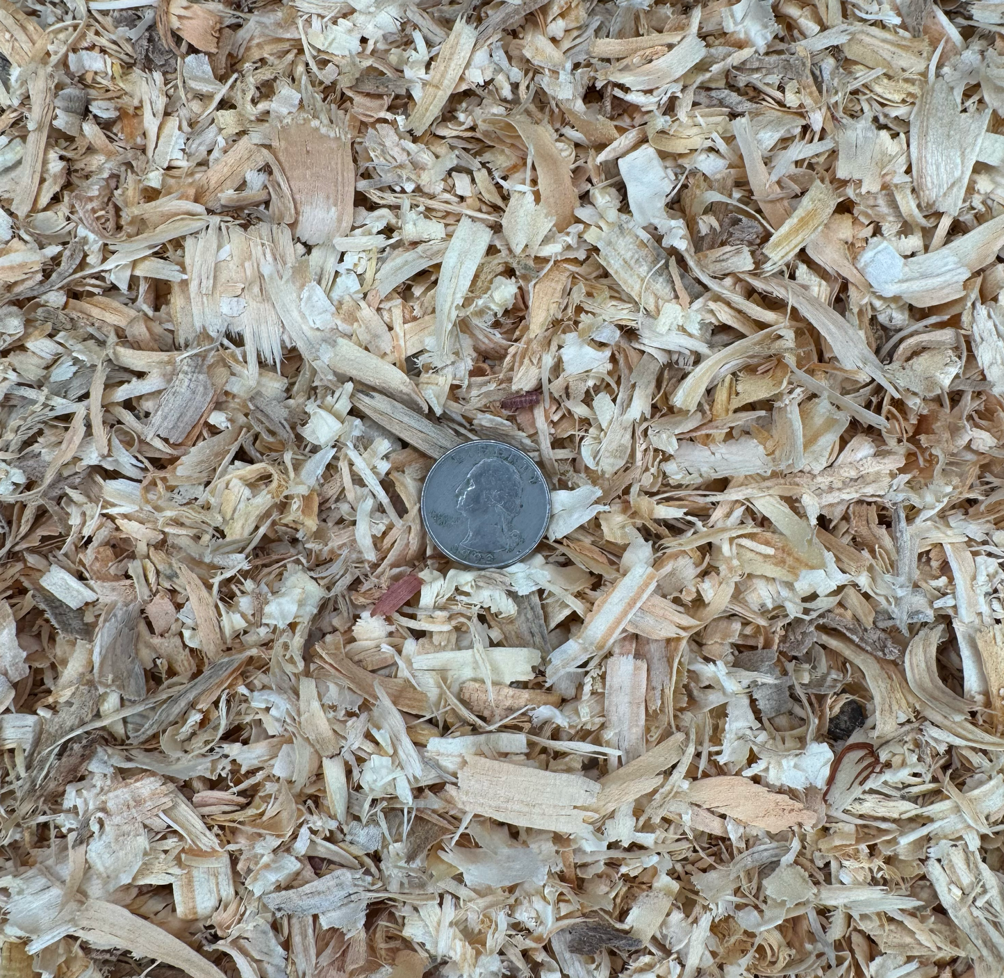 America's Choice - Medium Flake