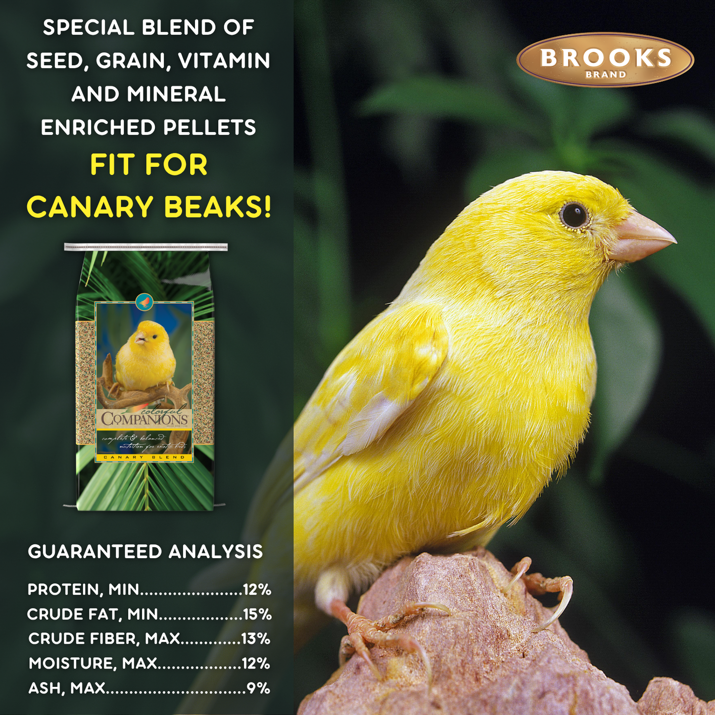 Colorful Companions Canary Blend - 25lb