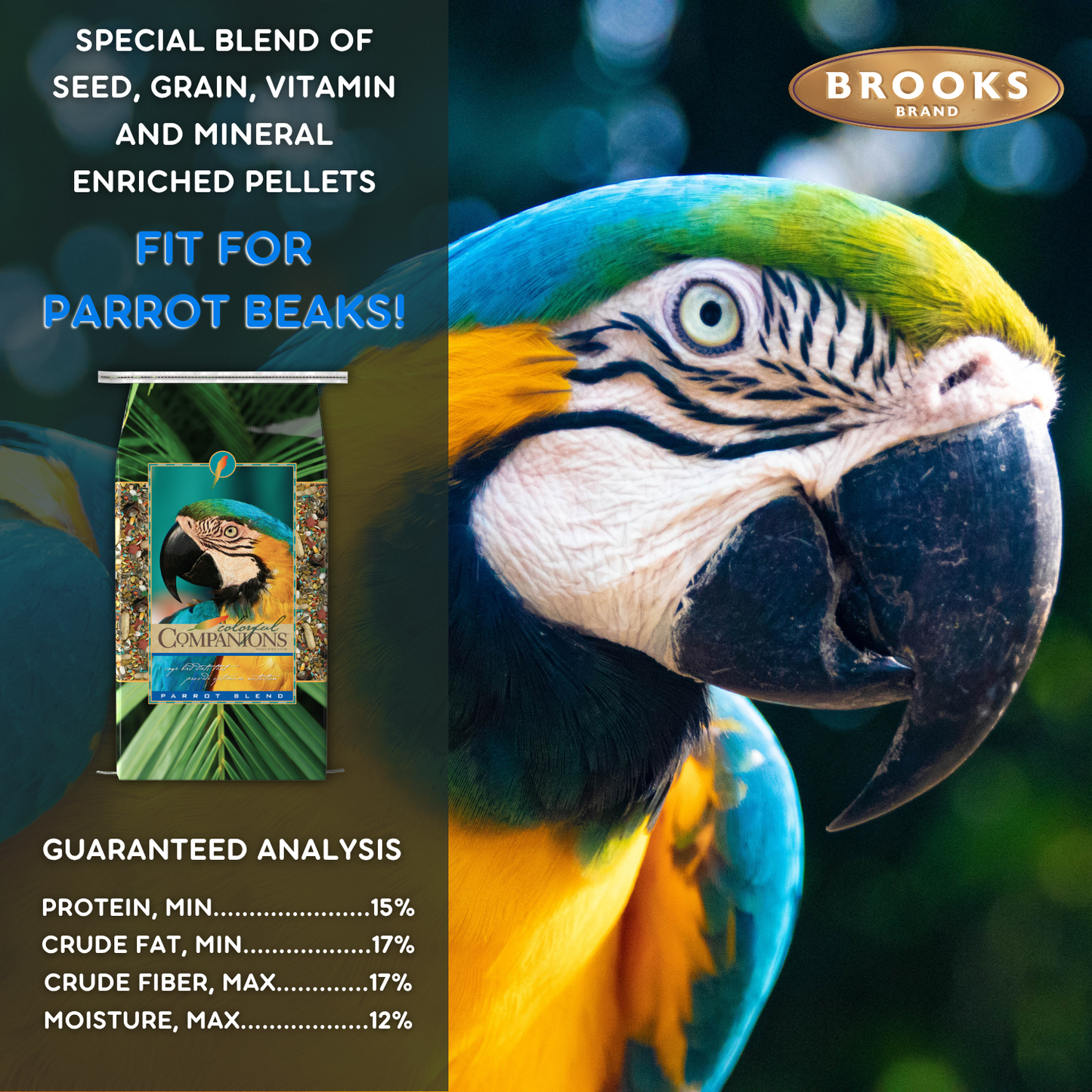 Colorful Companions Parrot Blend - 25lb