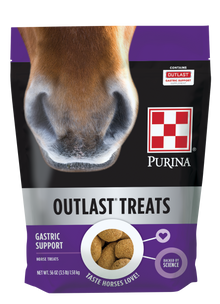 Purina Outlast Horse Treats