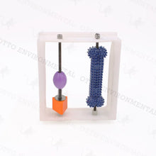 Activity Panel - Primate Enrichment System