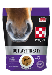 Purina Outlast Horse Treats 35UC - 21lb Case