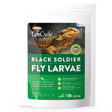 Brooks Brand BSFL for Reptiles - 1lb