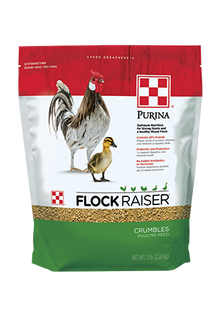 Purina Flock Raiser CR 8X5LB 61HG - Case