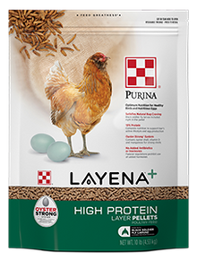 Purina Layena High Protein 4X10 623M - 40lb Case