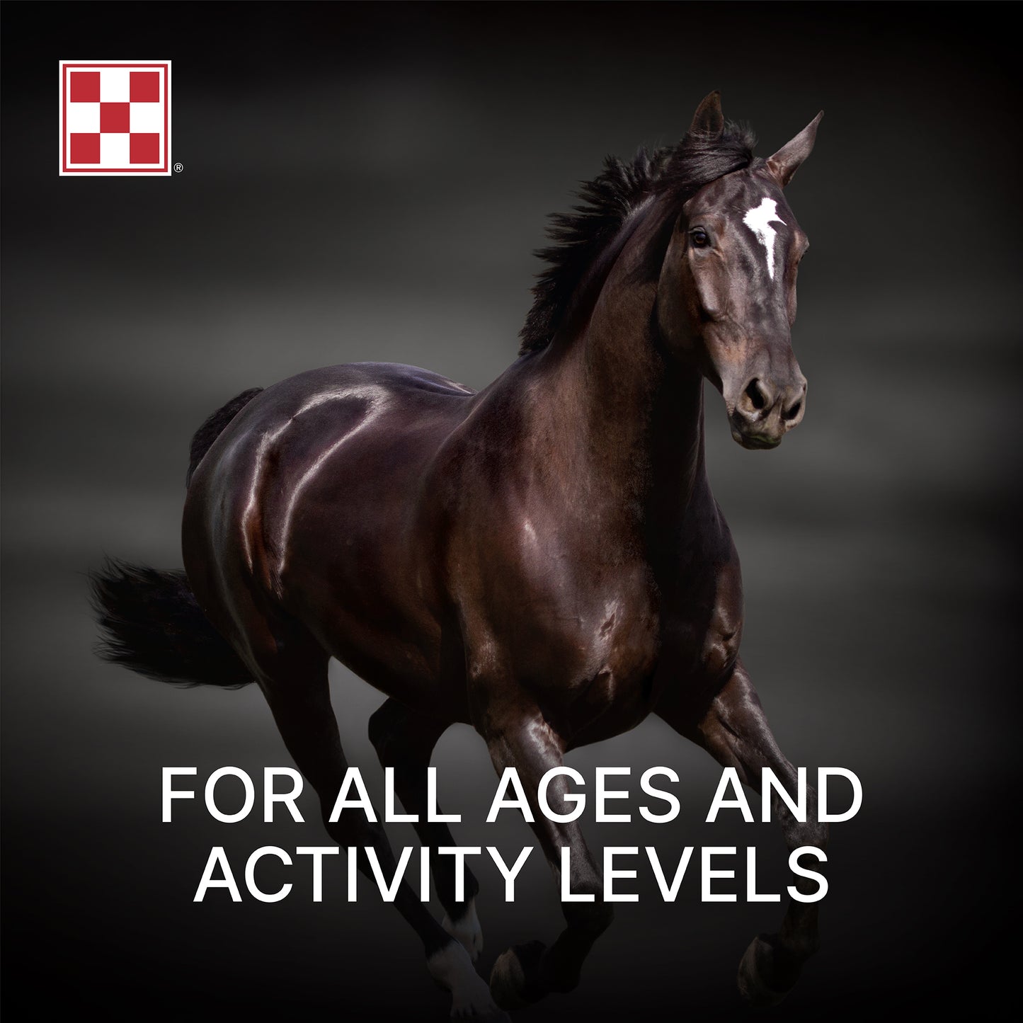 Purina Amplify Equine Supplement 35HC