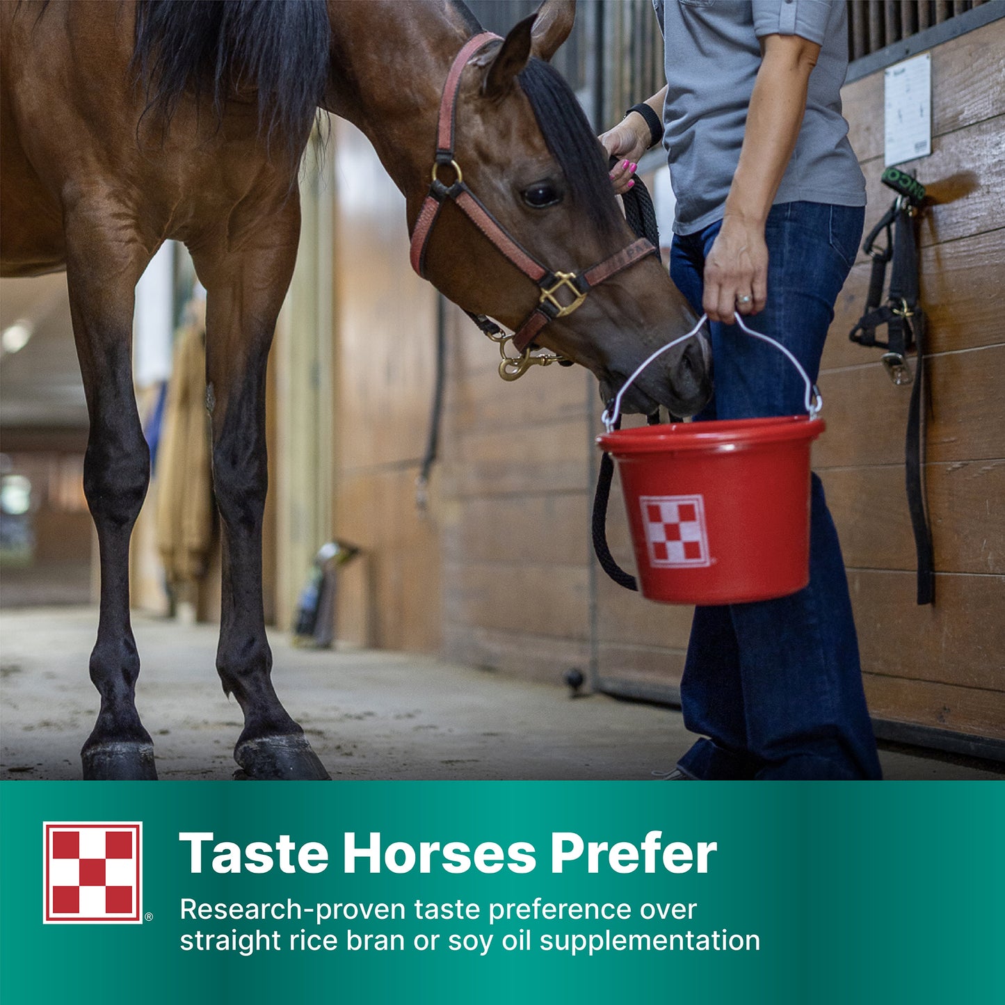 Purina Amplify Equine Supplement 35HC