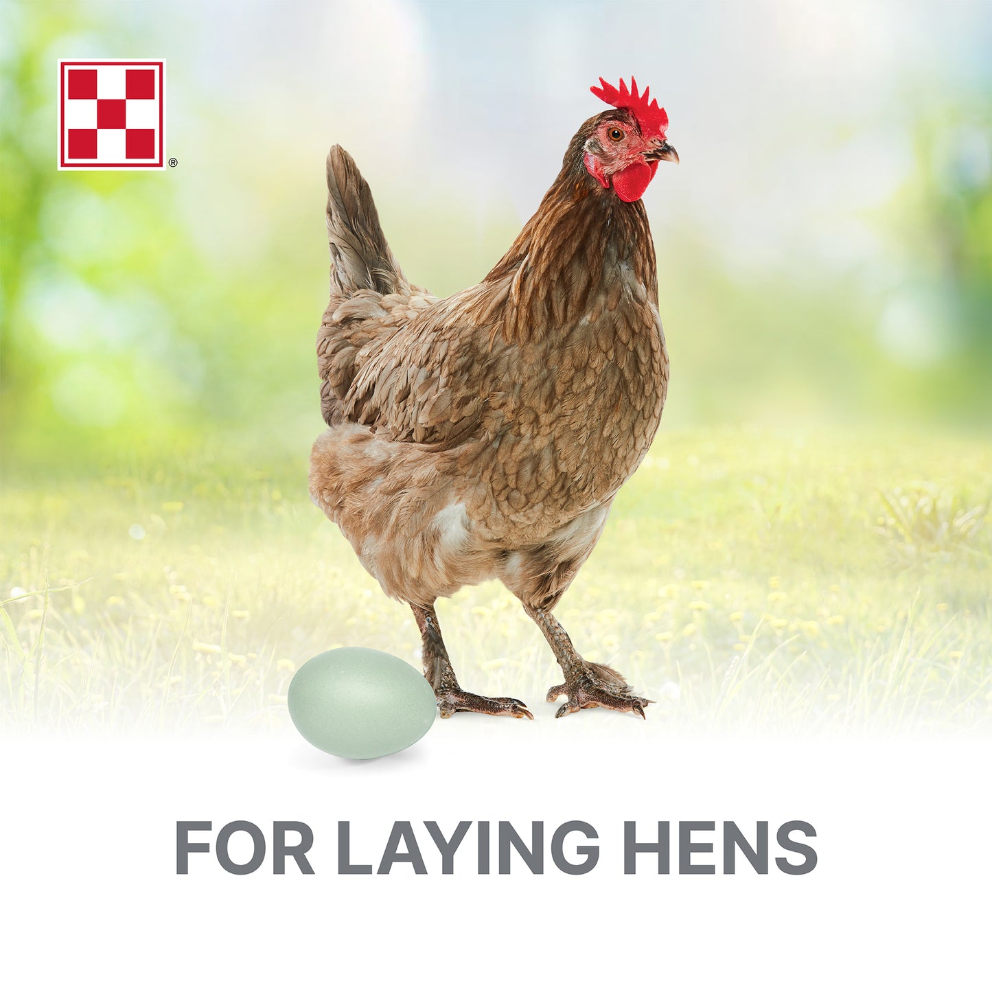 Purina Layena Crumbles 626X