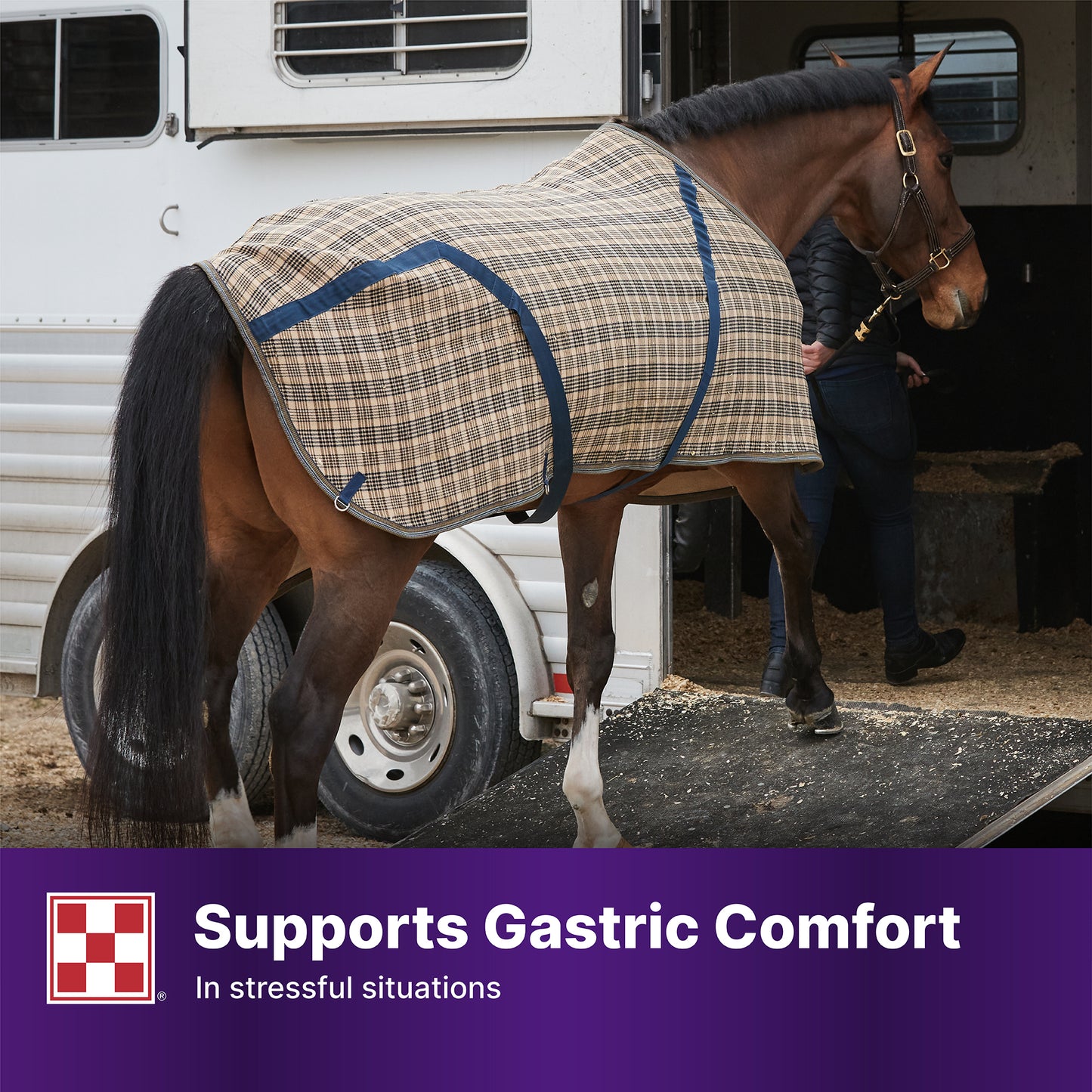 Purina Outlast Gastric Support Supp 35XA