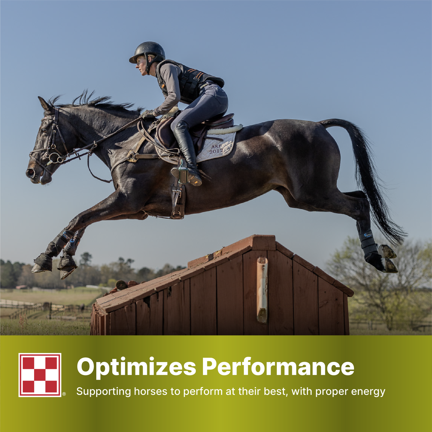 Purina SuperSport 35UX - 25lb