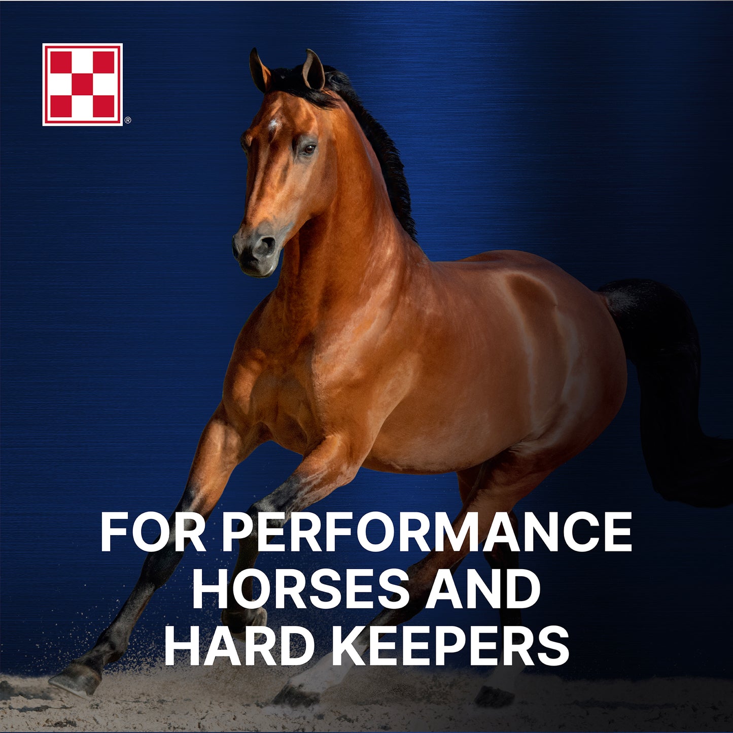 Purina Ultium Comp Horse 35UM - 50lb