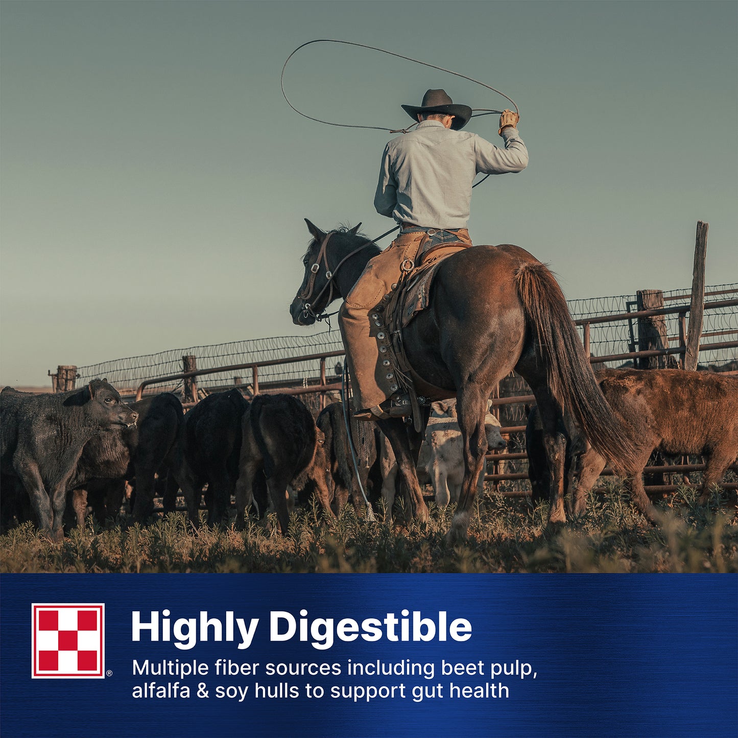 Purina Ultium Comp Horse 35UM - 50lb
