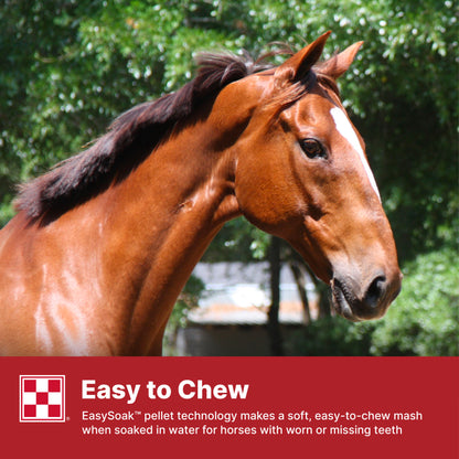 Purina Equine Senior 35WY - 50lb