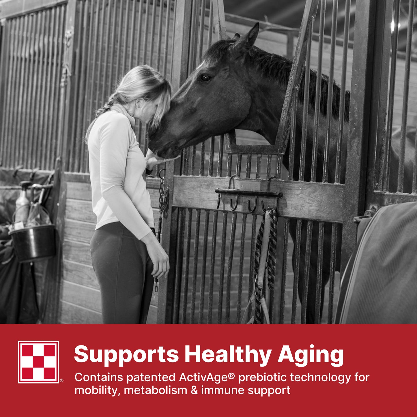 Purina Equine Senior 35WY - 50lb