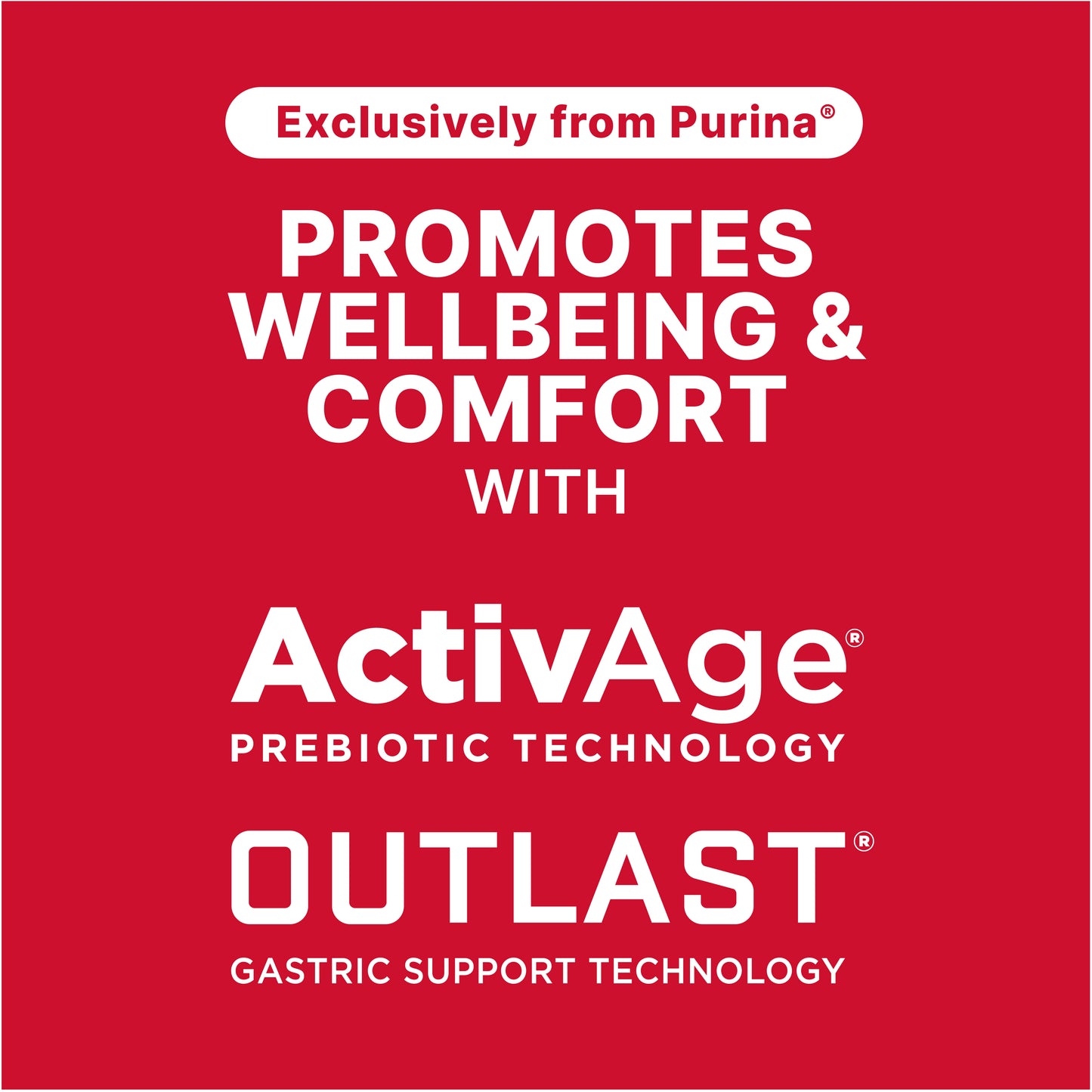 Purina Equine Senior Active 35YJ - 50lb
