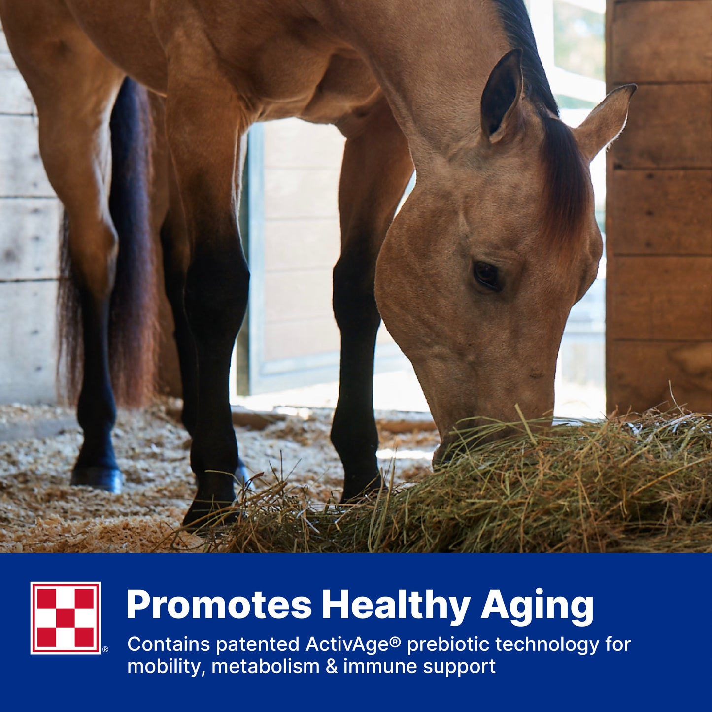 Purina Equine Senior Active 35YJ - 50lb