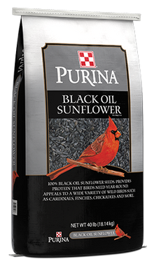 Purina Black Oil Sunflower Seeds 61X7 - 40lb