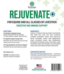 Rejuvenate+ Equine Oral Paste