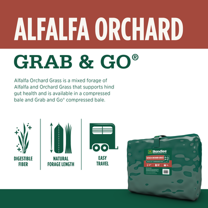 Alfalfa Orchard Grab & Go Bale - 50lbs