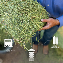 Alfalfa Grab & Go Bale - 50lbs